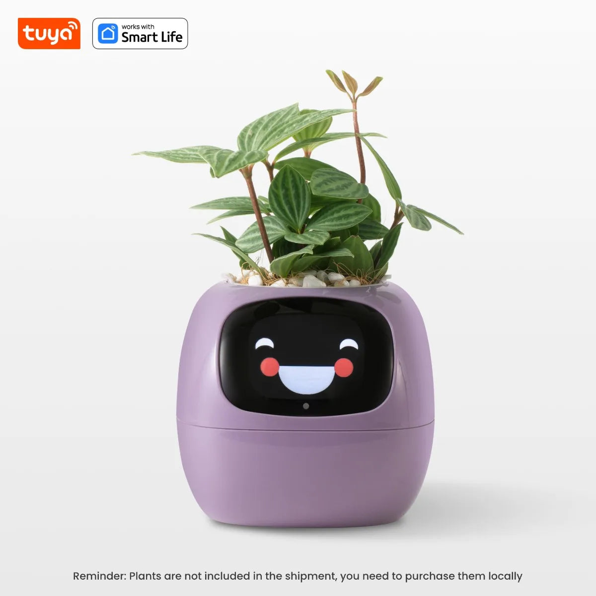 "TUYA 'Ivy' Smart Planter" – AI-Powered Plant Care with 49+ Fun Expressions & 7 Smart Sensors for Effortless Growing