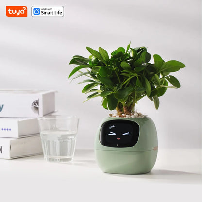 "TUYA 'Ivy' Smart Planter" – AI-Powered Plant Care with 49+ Fun Expressions & 7 Smart Sensors for Effortless Growing