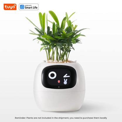 "TUYA 'Ivy' Smart Planter" – AI-Powered Plant Care with 49+ Fun Expressions & 7 Smart Sensors for Effortless Growing